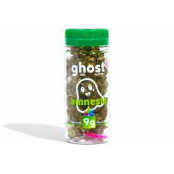 Amnesia 9g (x10) - ghost®CBD