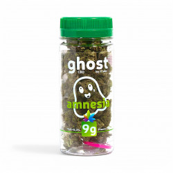 Amnesia 9g (x10) - ghost®CBD