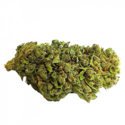 Amnesia (100g) Fleurs CBD Big Buds