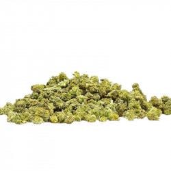 Amnesia (100g) Fleurs CBD Small Buds