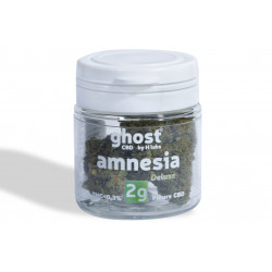 Amnesia 2g (x10) - HLabs®CBD