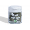 Amnesia 2g (x10) - HLabs®CBD