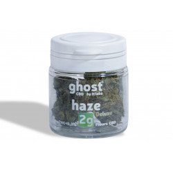 Haze 2g (x10) - ghost®CBD